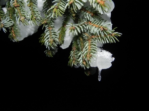 Ollis Weihnachtsgeschichte 2016 - Die dunkle Seite von Weihnachten