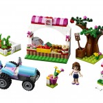Lego Freinds für Mädchen zu Weihnachten