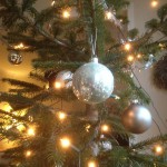 Weihnachtsgeschichte 2011 -  Die lieben Nachbarn