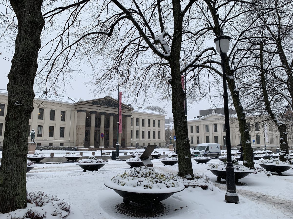 Weihnachtsgeschichte 2019 - Ein Leckerbissen zum Fest