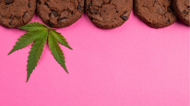 Weihnachtsgeschichte 2023: Die unheimlichen Plätzchen